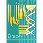 NCERT Biology Class 12 Biology Textbook Cover 2025 CBSE Latest Edition