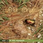 NCERT Jeev Vigyan Class 11 Jeev Vigyan Textbook (Latest Edition | 2025 -2026, CBSE, Binding Included)