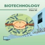 NCERT Biotechnology Class 12 Textbook (Latest Edition | 2025 -2026, CBSE, Binding Included)